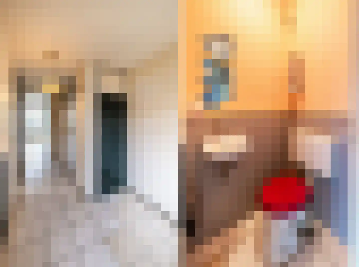 Potgieterstraat 23 Oss thumbnail 6