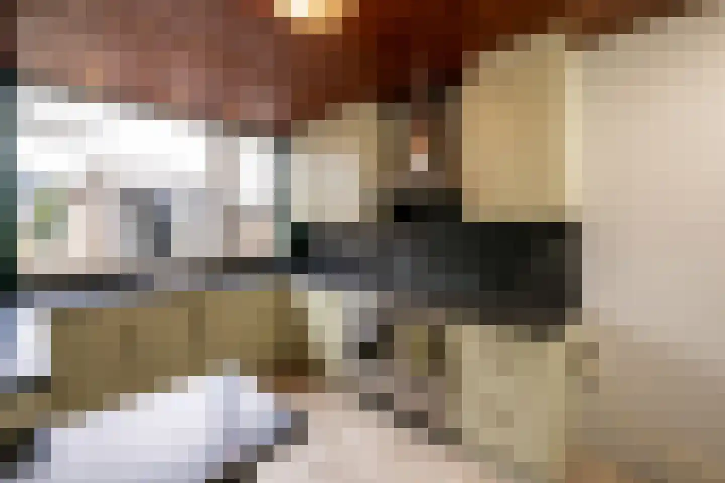 Potgieterstraat 23 Oss thumbnail 9