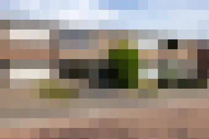 Potgieterstraat 29 Doetinchem thumbnail 16