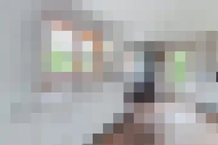 Potgieterstraat 3 Beek thumbnail 11