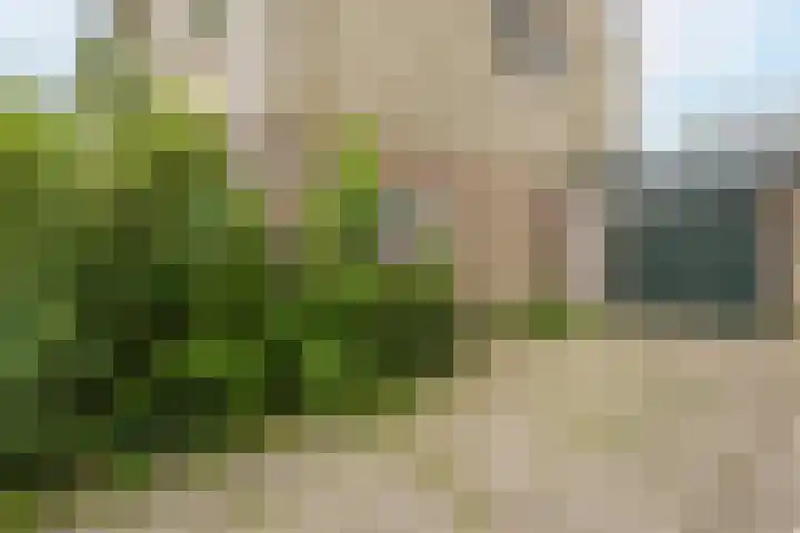 Potgieterstraat 3 Beek thumbnail 4