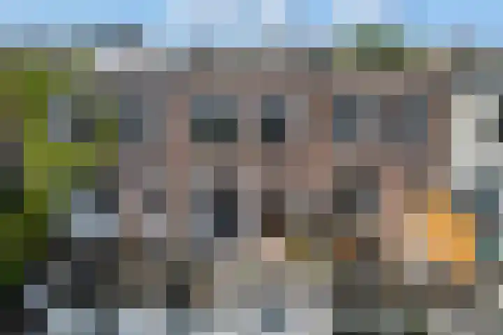 Potgieterstraat 3 BS Utrecht thumbnail 51