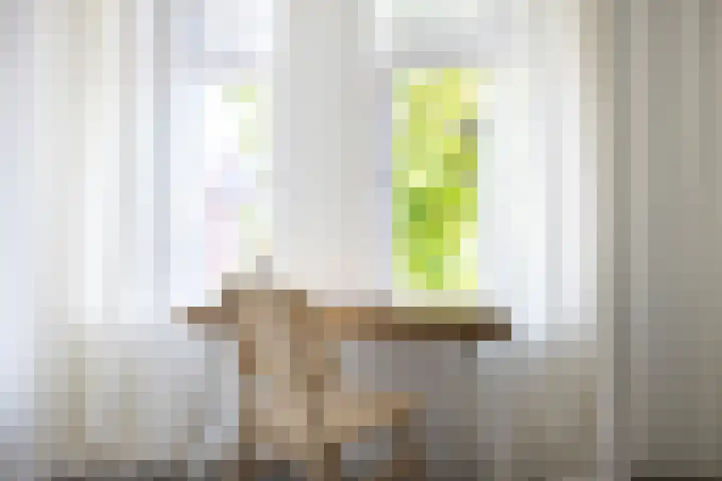 Potgieterstraat 3 Haarlem thumbnail 39