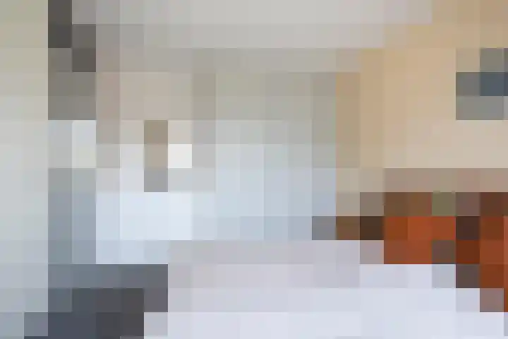Potgieterstraat 30 Goor thumbnail 15
