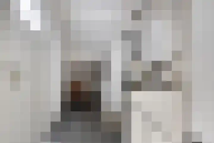 Potgieterstraat 30 Goor thumbnail 20