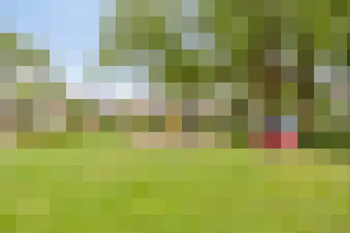 Potgieterstraat 30 Goor thumbnail 27