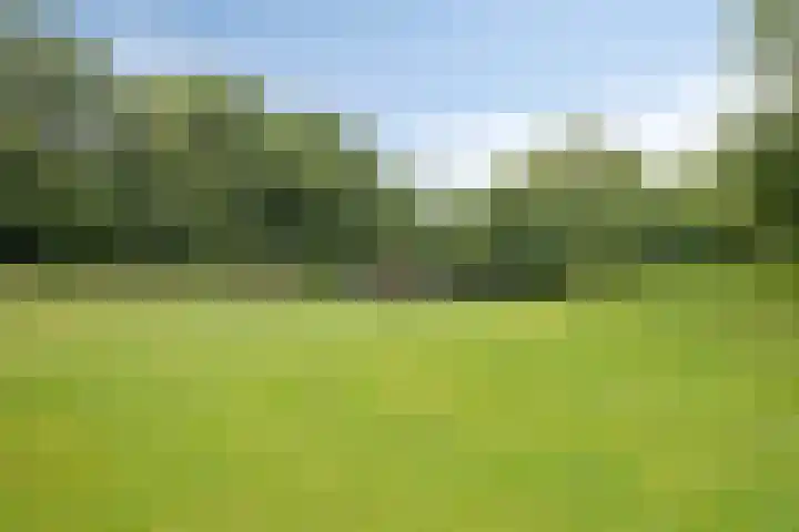 Potgieterstraat 30 Goor thumbnail 28