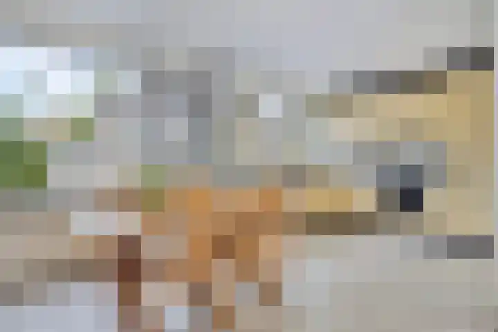 Potgieterstraat 30 Goor thumbnail 9
