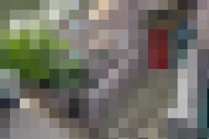 Potgieterstraat 32 BS Utrecht thumbnail 5