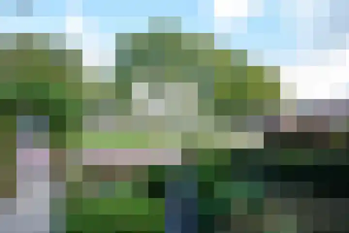 Potgieterstraat 36 Putten thumbnail 19