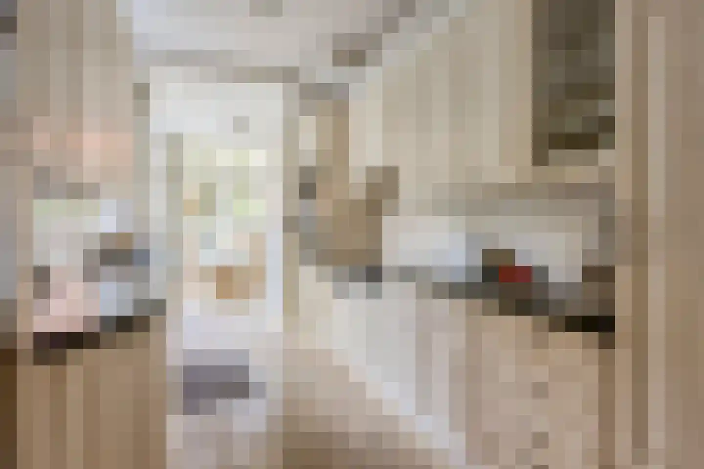 Potgieterstraat 37 Eindhoven thumbnail 13