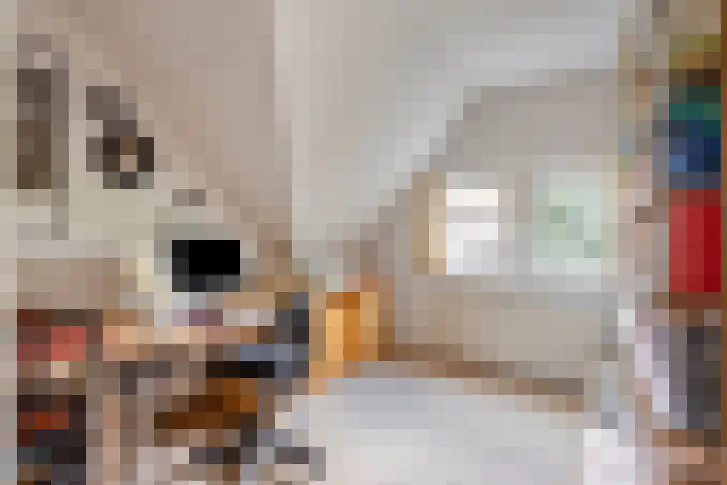 Potgieterstraat 37 Eindhoven thumbnail 26