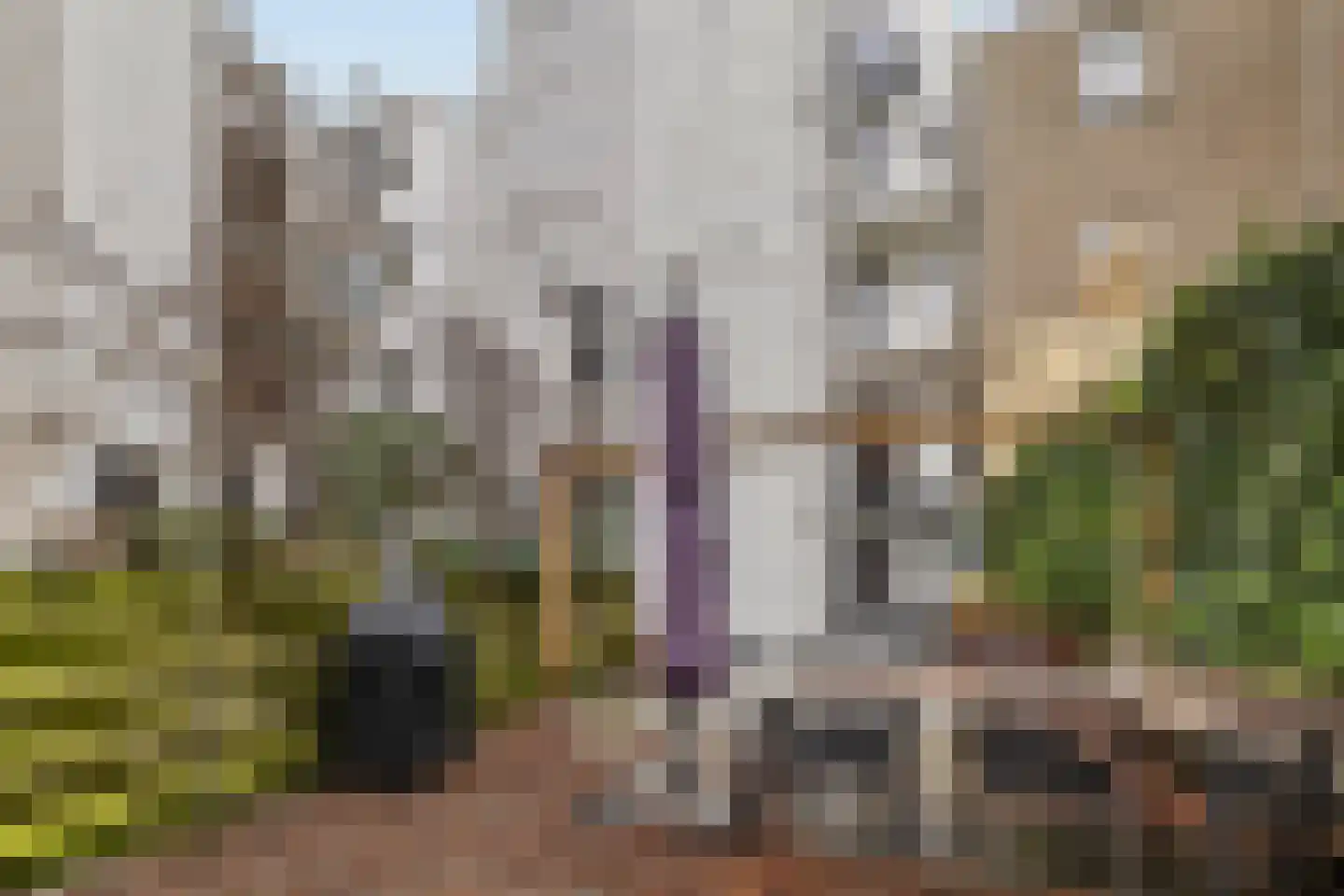 Potgieterstraat 37 H Amsterdam thumbnail 31