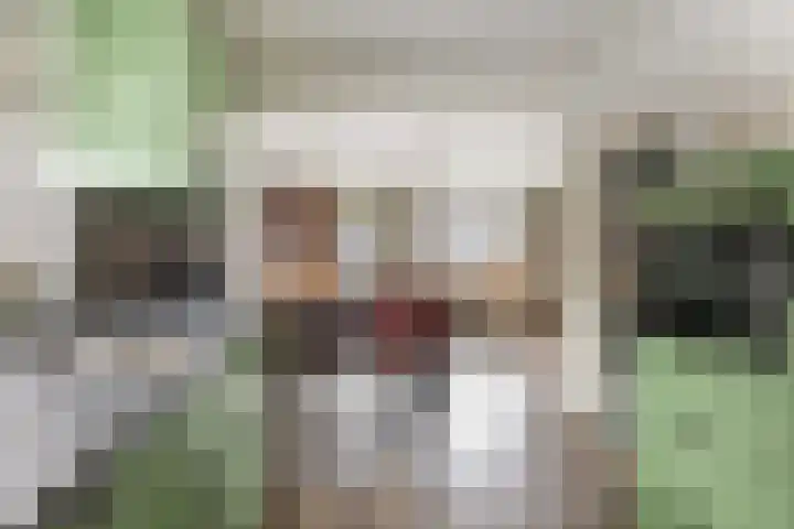 Potgieterstraat 39 Vaassen thumbnail 12