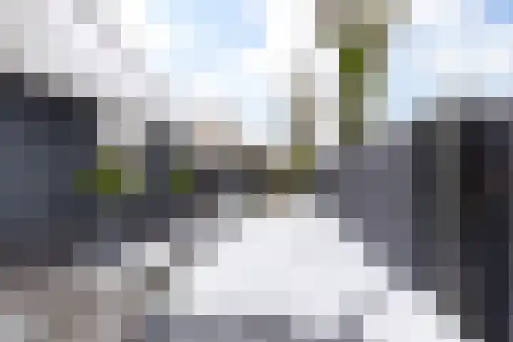 Potgieterstraat 39 Vaassen thumbnail 31