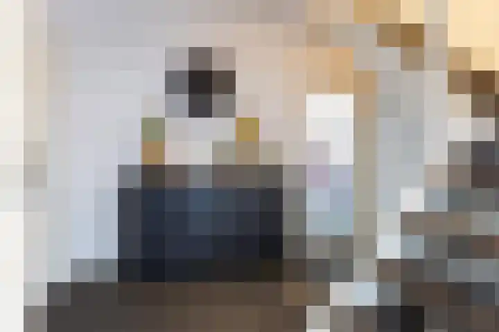 Potgieterstraat 39 Vaassen thumbnail 4