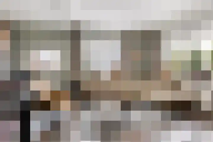 Potgieterstraat 39 Vaassen thumbnail 6
