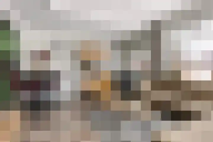 Potgieterstraat 39 Vaassen thumbnail 7