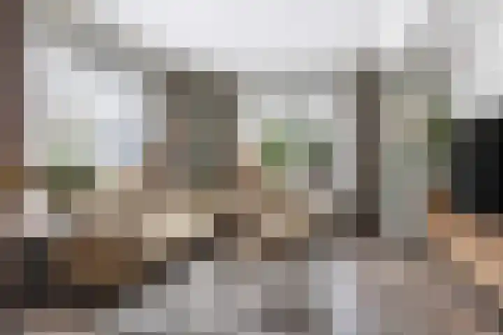 Potgieterstraat 39 Vaassen thumbnail 9