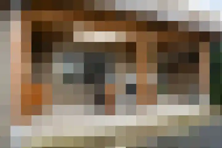Potgieterstraat 4 Oss thumbnail 16