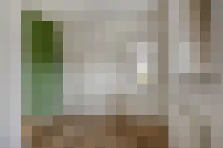 Potgieterstraat 4 Oss thumbnail 18