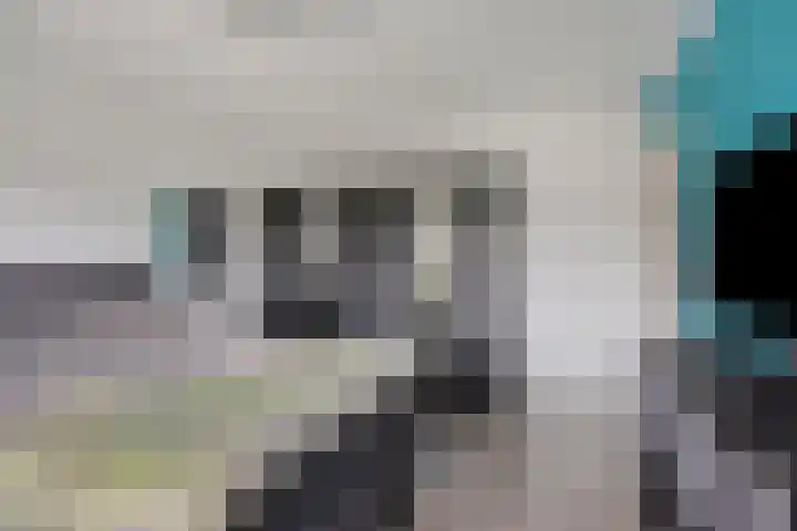 Potgieterstraat 4 Oss thumbnail 22