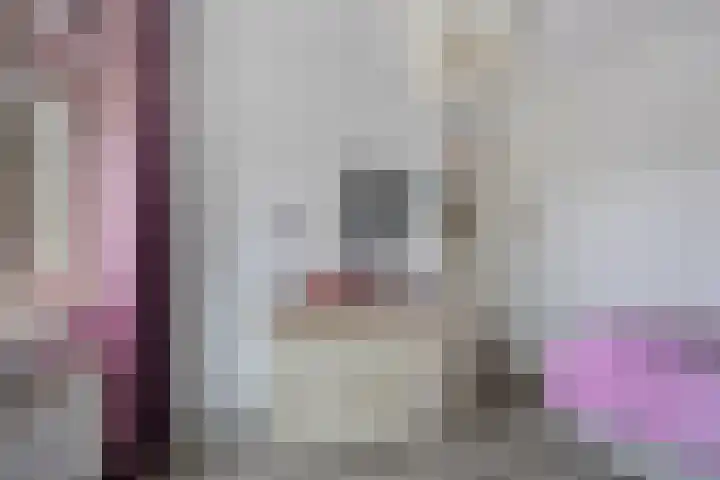 Potgieterstraat 4 Oss thumbnail 25