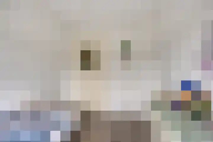 Potgieterstraat 4 Oss thumbnail 27