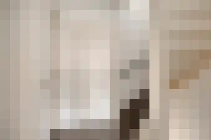 Potgieterstraat 4 Oss thumbnail 31