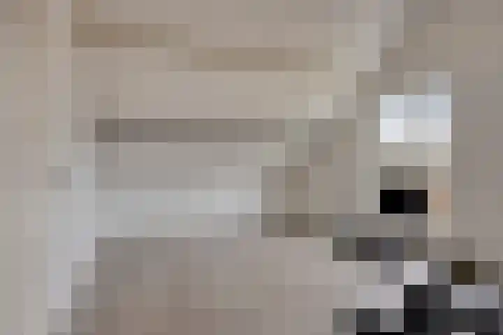 Potgieterstraat 4 Oss thumbnail 33