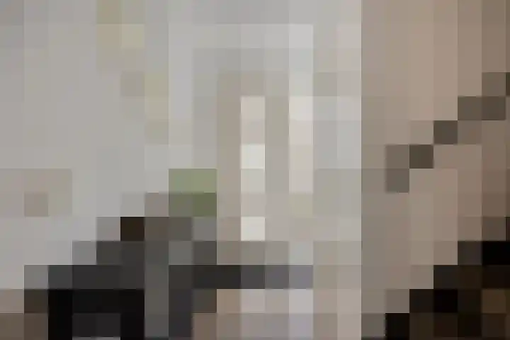 Potgieterstraat 4 Oss thumbnail 36