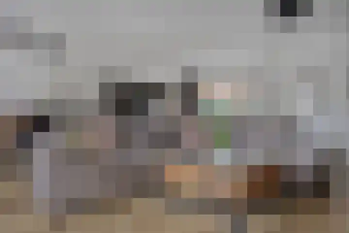 Potgieterstraat 4 Oss thumbnail 4