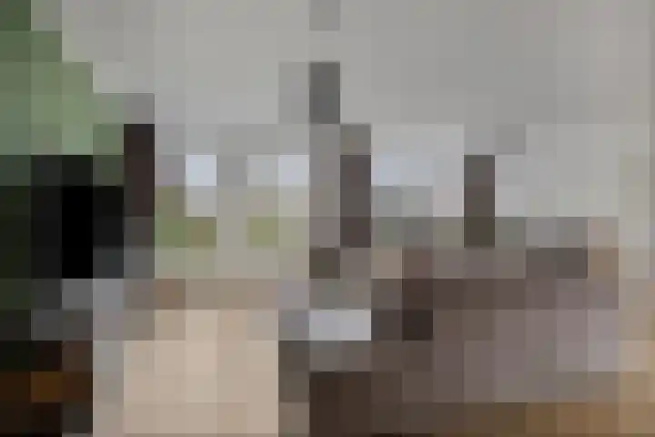 Potgieterstraat 4 Oss thumbnail 5
