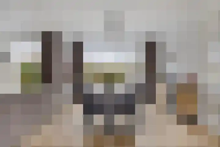Potgieterstraat 4 Oss thumbnail 7