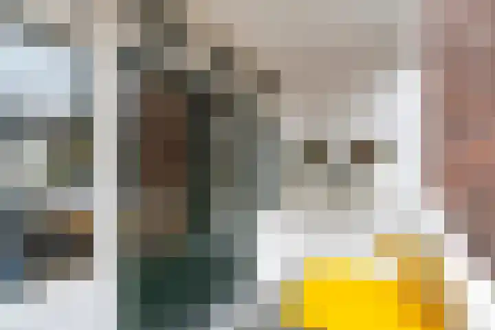 Potgieterstraat 42 Utrecht thumbnail 20