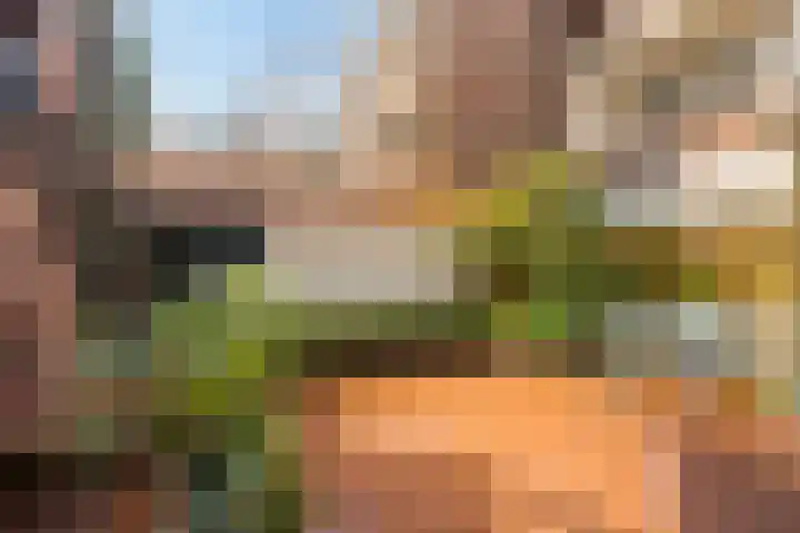 Potgieterstraat 42 Utrecht thumbnail 4