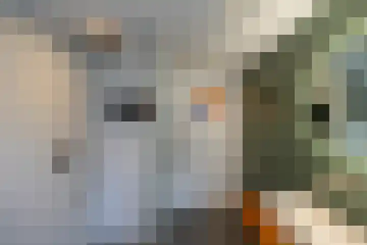 Potgieterstraat 42 Utrecht thumbnail 43