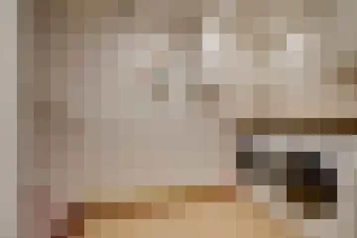 Potgieterstraat 42 Utrecht thumbnail 47