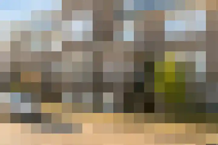 Potgieterstraat 42 Utrecht thumbnail 49
