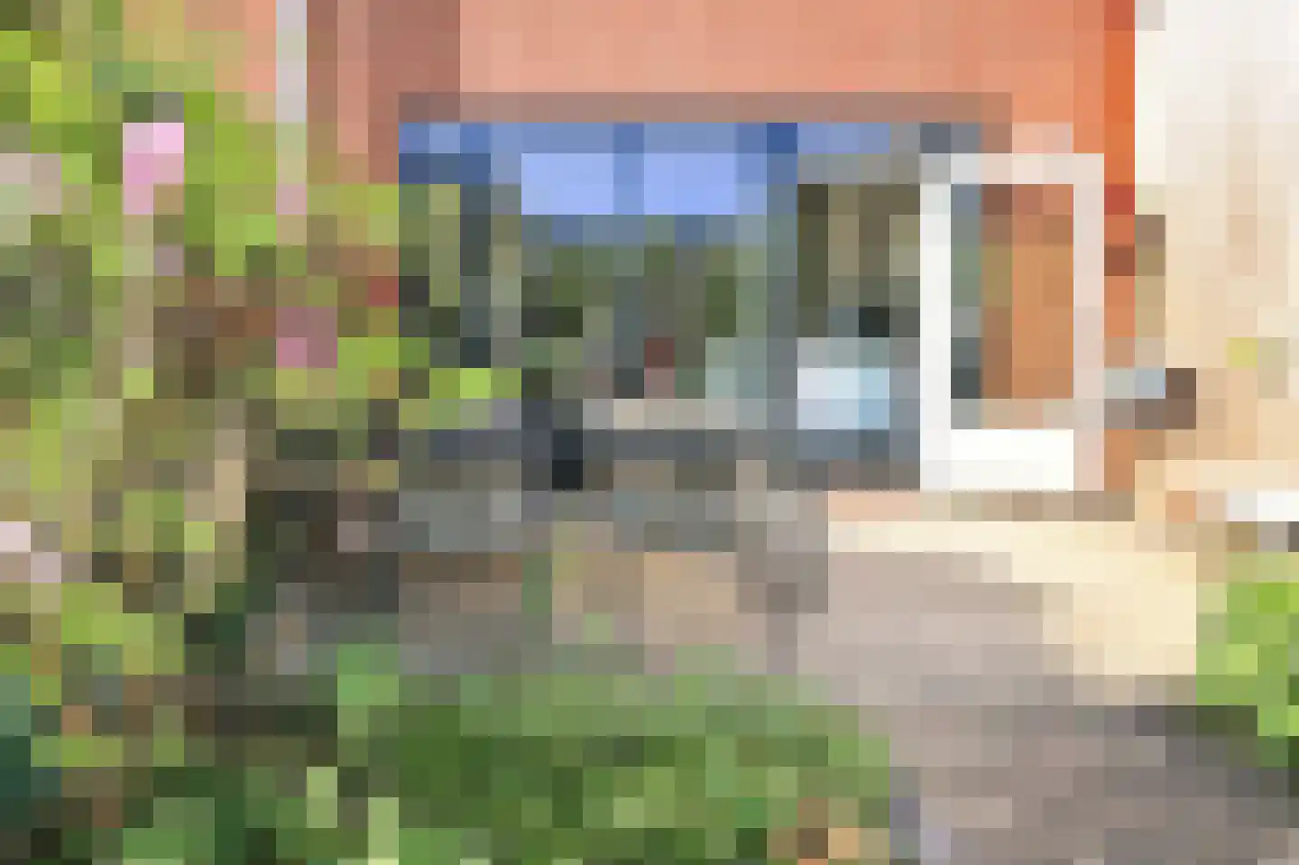 Potgieterstraat 48 Haarlem thumbnail 20