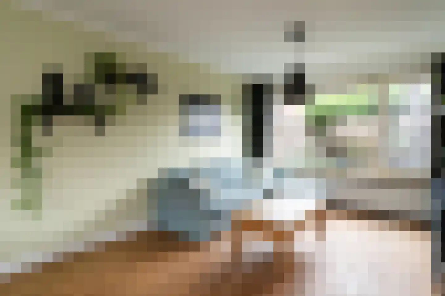 Potgieterstraat 53 Barneveld thumbnail 11
