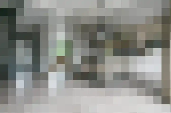 Potgieterstraat 53 Putten thumbnail 7