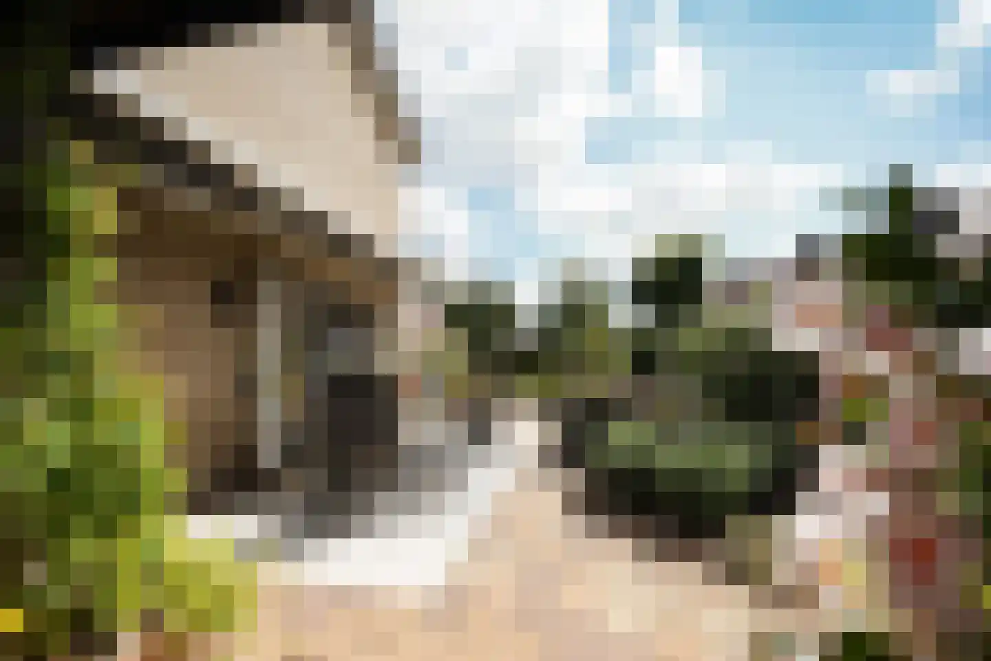 Potgieterstraat 55 Putten thumbnail 19