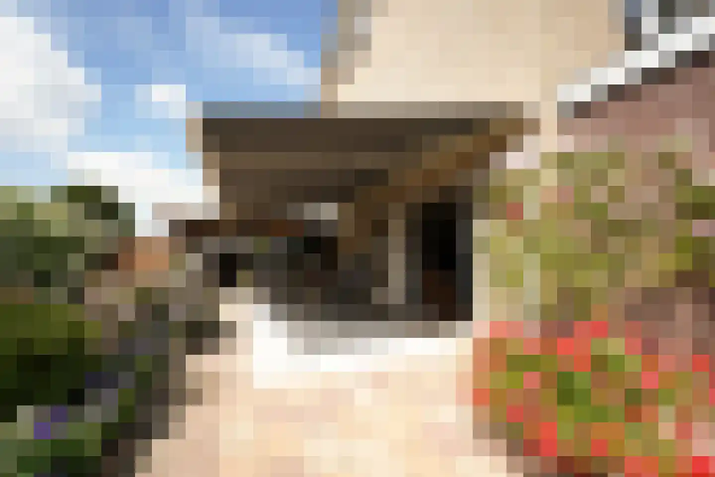 Potgieterstraat 55 Putten thumbnail 21