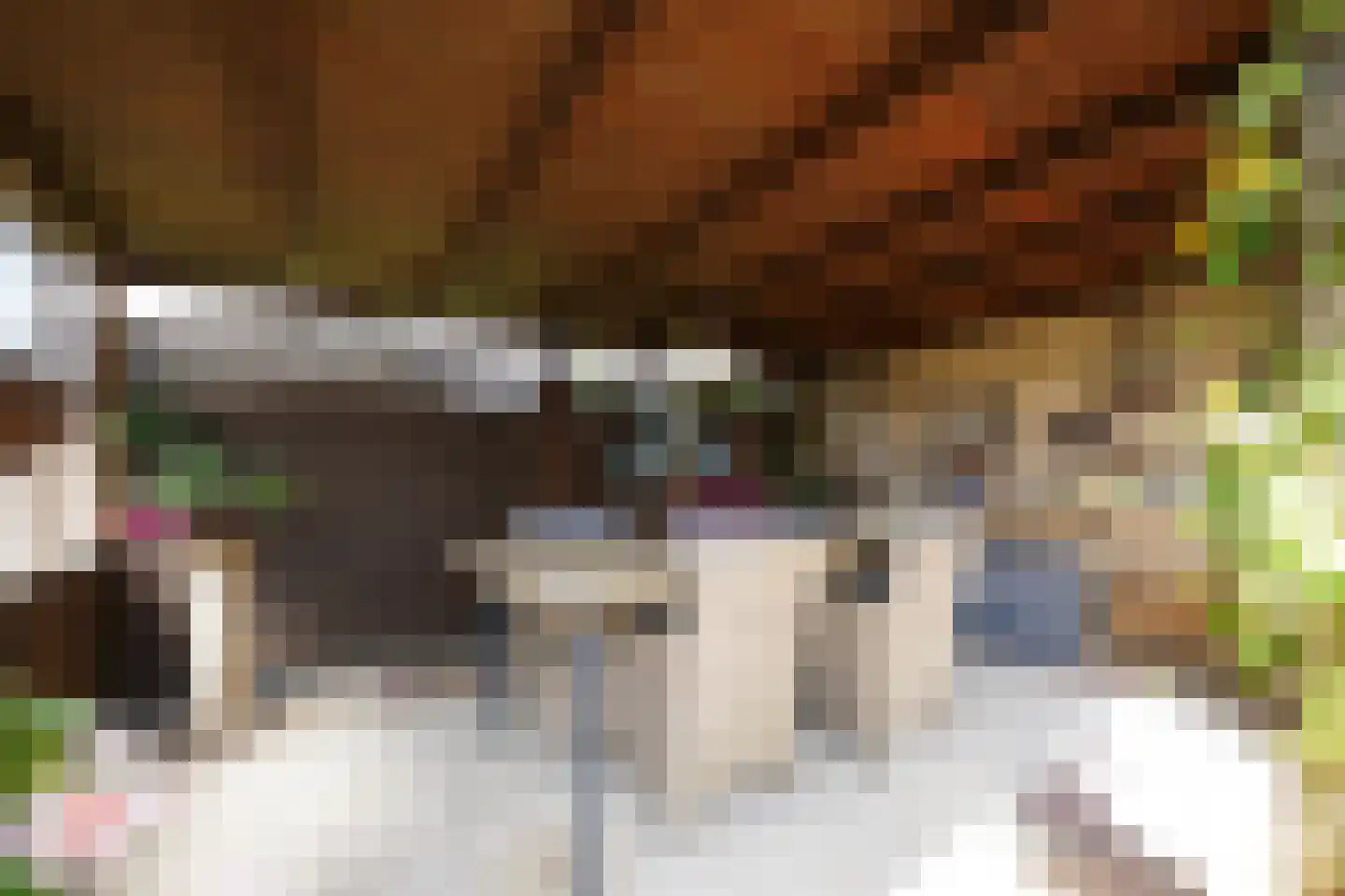 Potgieterstraat 55 Putten thumbnail 22