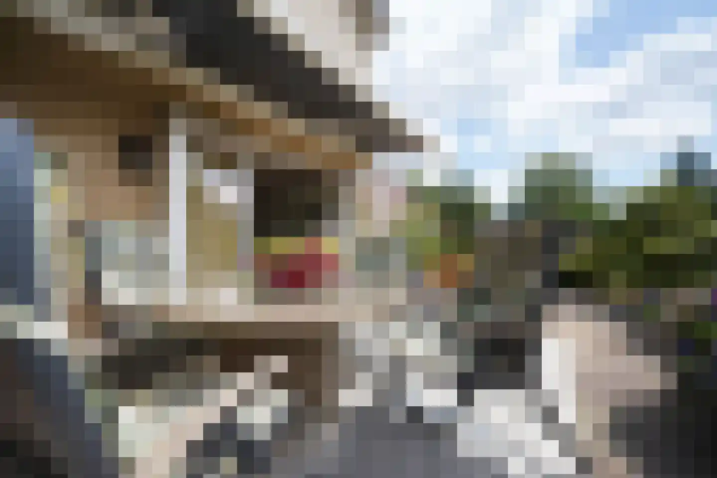 Potgieterstraat 55 Putten thumbnail 26