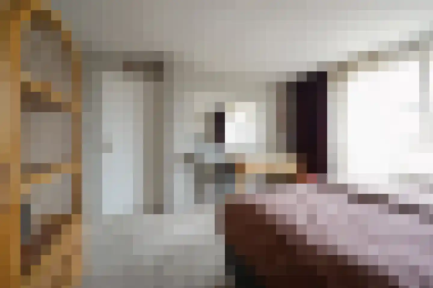 Potgieterstraat 55 Putten thumbnail 35