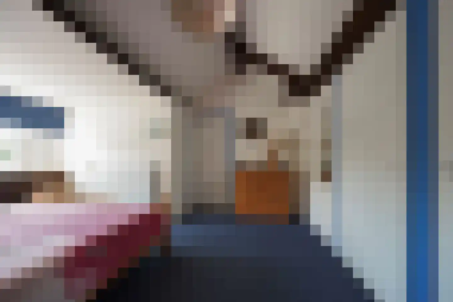 Potgieterstraat 55 Putten thumbnail 48