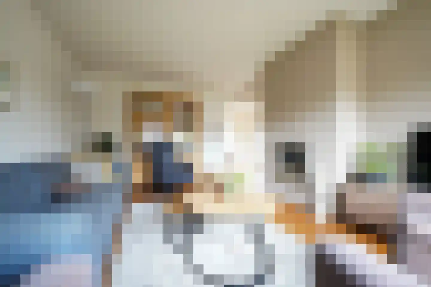 Potgieterstraat 55 Putten thumbnail 7