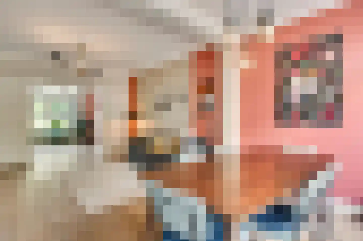 Potgieterstraat 6 Eindhoven thumbnail 12